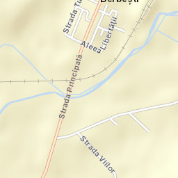 Dealu Aluniș Street Map