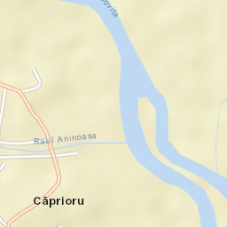 Căprioru Street Map