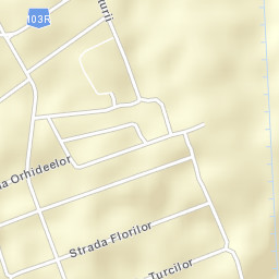 Vintileanca Street Map