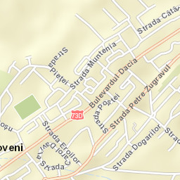 Oraș Mioveni Street Map
