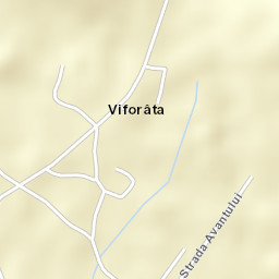 Viforâta Street Map