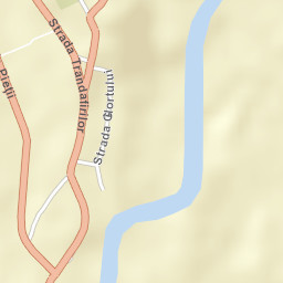 Târgu Cărbuneşti Street Map