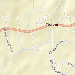 Ţicleni Street Map
