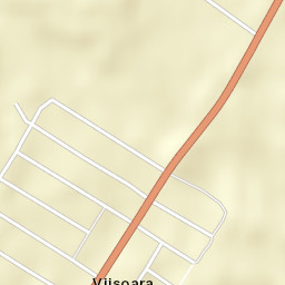 Viișoara Street Map