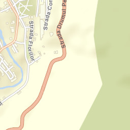 Oraş Bãile Herculane Street Map