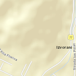 Oraș Ştefăneşti Street Map