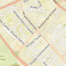 Piteşti Street Map