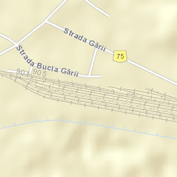 Golești Street Map