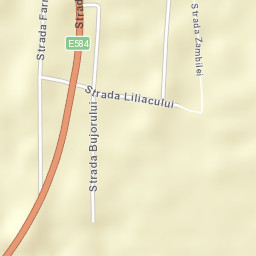Bărăganul Street Map