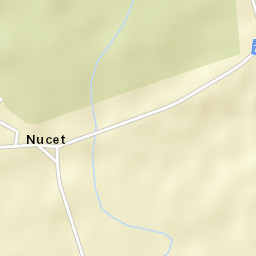 Nucet Street Map