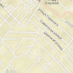 Gayduk Street Map