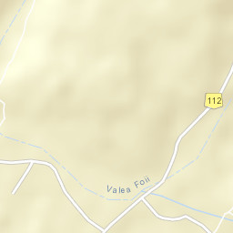 Comuna Gura Foii Street Map