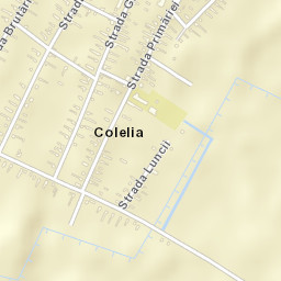 Colelia Street Map