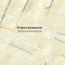 Novoselitskoye Street Map
