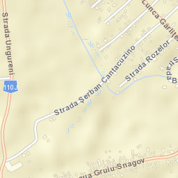 Comuna Gruiu Street Map