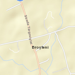 Broșteni Street Map