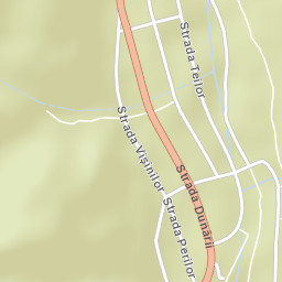 Eşelniţa Street Map