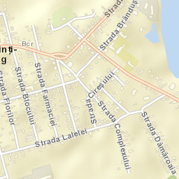 Oraş Fierbinţi-Târg Street Map