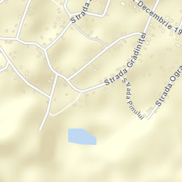 Borănești Street Map