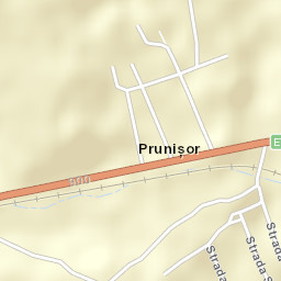 Prunişor Street Map