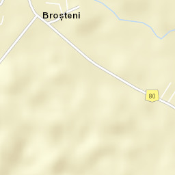 Comuna Vişina Street Map