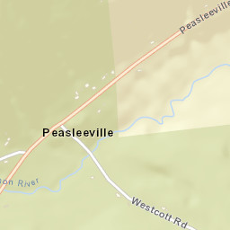 Peasleeville New York Street Map