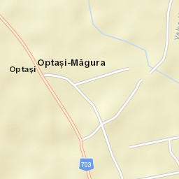 Optaşi Street Map