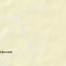 Vlăsceni Street Map