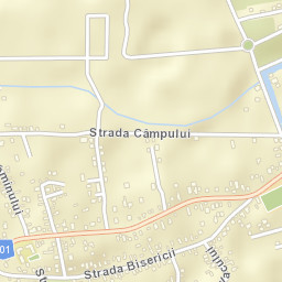 Tamași Street Map