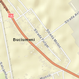 Buciumeni Street Map