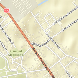 Mogoşoaia Street Map