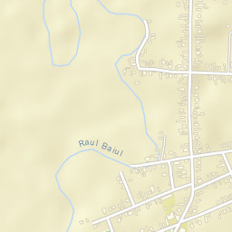 Florești Street Map