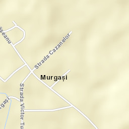 Murgași Street Map
