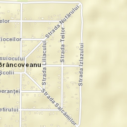 Constantin Brâncoveanu Street Map