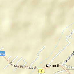 Sinești Street Map