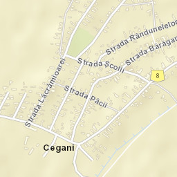 Cegani Street Map