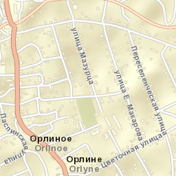 Orlinoye Street Map