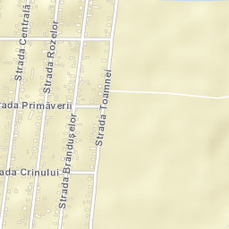 Drajna Nouă Street Map