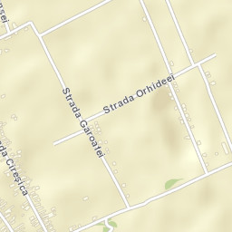 Olteni Street Map