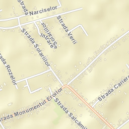 Clinceni Street Map