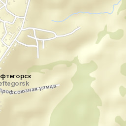 Neftegorsk Street Map