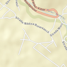 Cleanov Street Map