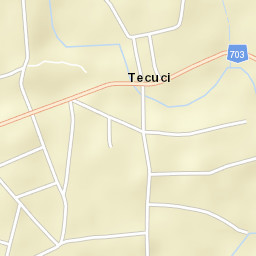 Tecuci Street Map
