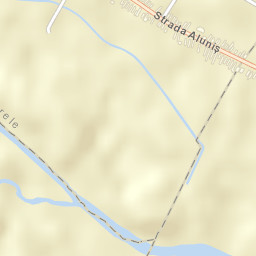 Alunișu Street Map