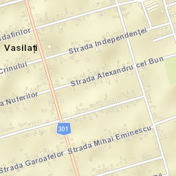 Vasilaţi Street Map