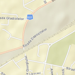 Videle Street Map