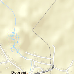 Dobreni Street Map