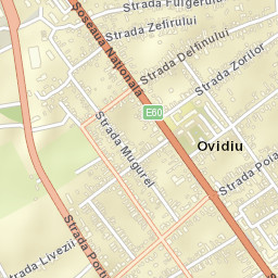 Ovidiu Street Map