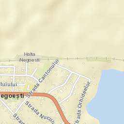 Negoești Street Map