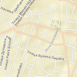 Negotin Street Map